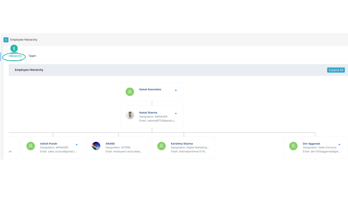 Employee Hierarchy view with Hierarchy tab and org chart by designation
