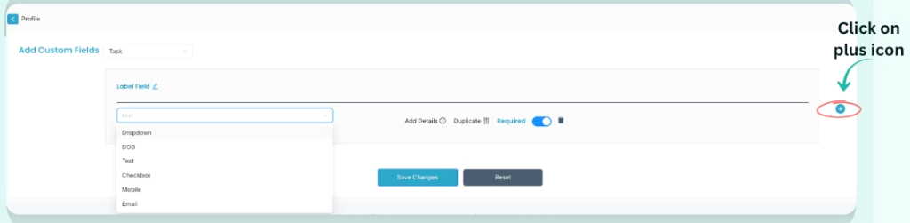 Add Custom Fields form with Plus icon and field type dropdown